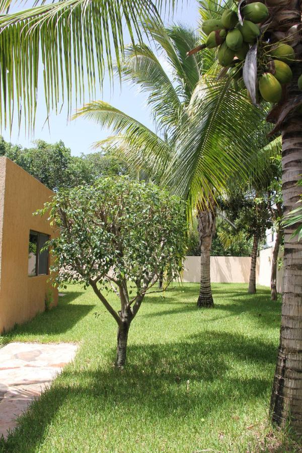 Myoli Wellness & Happiness Bnb Playa del Carmen Kültér fotó
