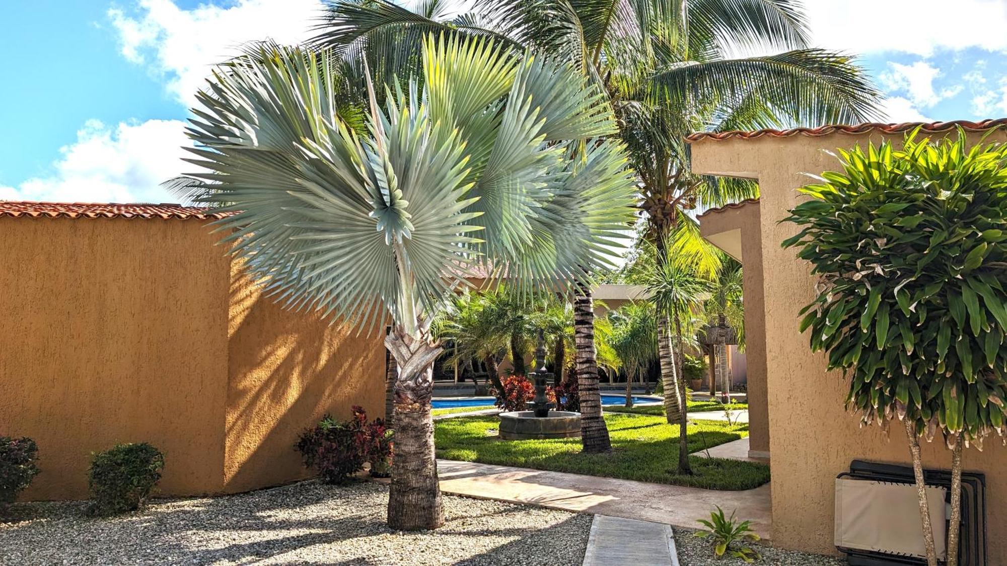 Myoli Wellness & Happiness Bnb Playa del Carmen Kültér fotó